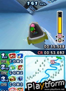 Mario & Sonic at the Olympic Winter Games (DS)