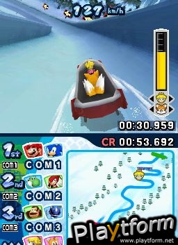 Mario & Sonic at the Olympic Winter Games (DS)