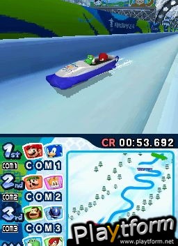 Mario & Sonic at the Olympic Winter Games (DS)