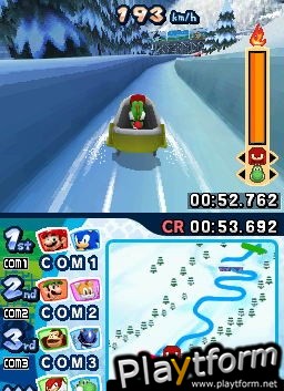 Mario & Sonic at the Olympic Winter Games (DS)