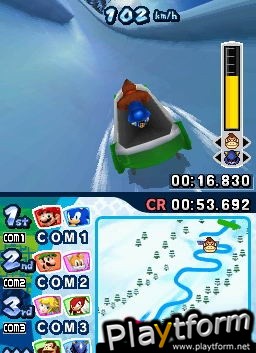 Mario & Sonic at the Olympic Winter Games (DS)