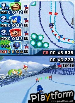 Mario & Sonic at the Olympic Winter Games (DS)