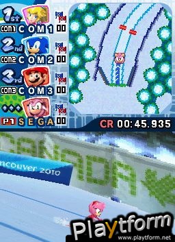 Mario & Sonic at the Olympic Winter Games (DS)