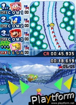 Mario & Sonic at the Olympic Winter Games (DS)