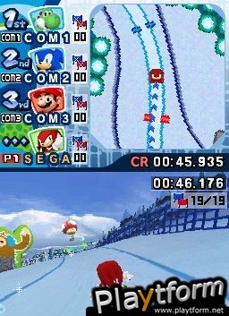 Mario & Sonic at the Olympic Winter Games (DS)