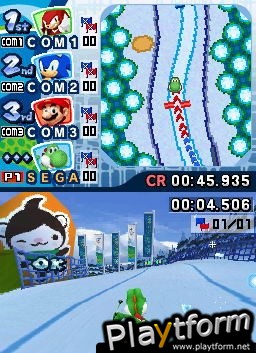 Mario & Sonic at the Olympic Winter Games (DS)