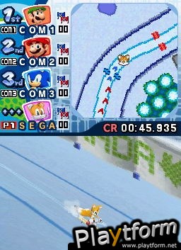 Mario & Sonic at the Olympic Winter Games (DS)