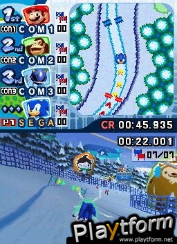 Mario & Sonic at the Olympic Winter Games (DS)