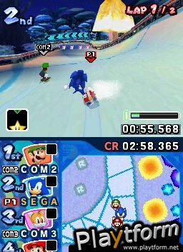 Mario & Sonic at the Olympic Winter Games (DS)