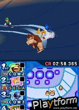 Mario & Sonic at the Olympic Winter Games (DS)