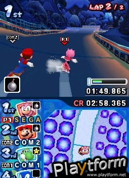 Mario & Sonic at the Olympic Winter Games (DS)