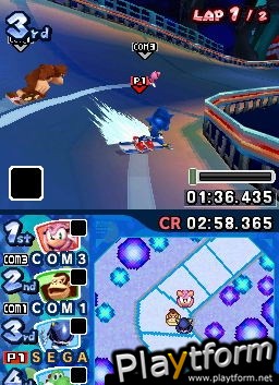 Mario & Sonic at the Olympic Winter Games (DS)