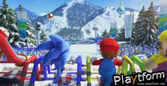 Mario & Sonic at the Olympic Winter Games (DS)