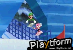 Mario & Sonic at the Olympic Winter Games (DS)