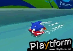 Mario & Sonic at the Olympic Winter Games (DS)