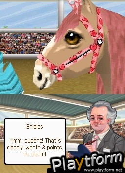 Petz Pony: Beauty Pageant (DS)