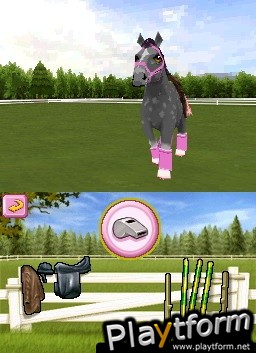 Petz Pony: Beauty Pageant (DS)