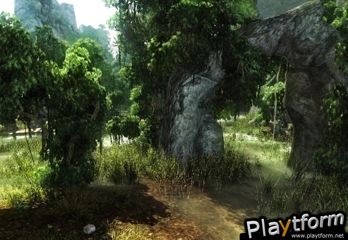 Risen (PC)