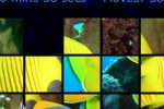 Underwater Ocean Puzzles (iPhone/iPod)