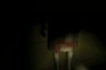 Ju-on: The Grudge (Wii)