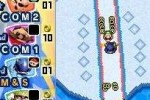 Mario & Sonic at the Olympic Winter Games (DS)