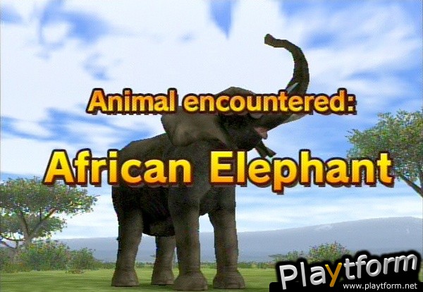 Animal Kingdom: Wildlife Expedition (Wii)