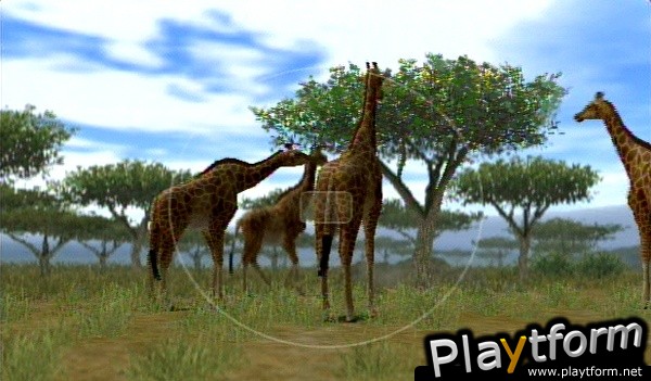 Animal Kingdom: Wildlife Expedition (Wii)