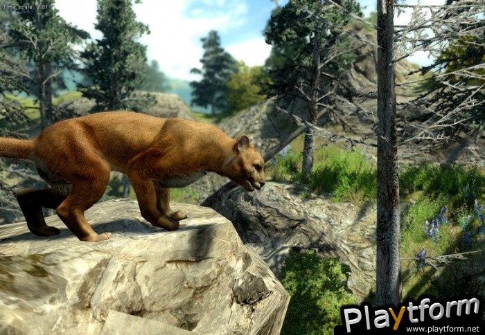 Cabela's Big Game Hunter 2010 (Xbox 360)