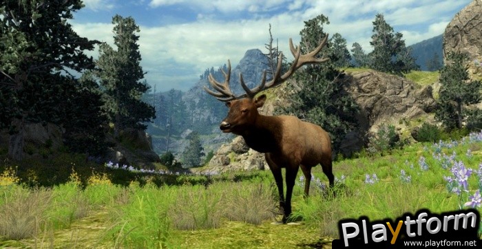 Cabela's Big Game Hunter 2010 (Xbox 360)