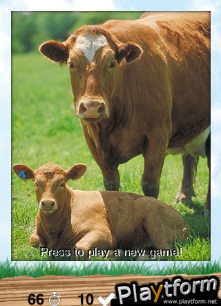 aMatch Animals (iPhone/iPod)