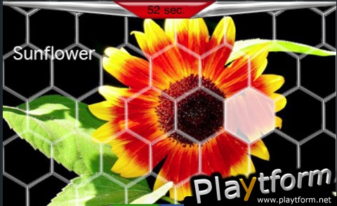 PuzzleTwistFlowers (iPhone/iPod)