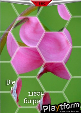 PuzzleTwistFlowers (iPhone/iPod)