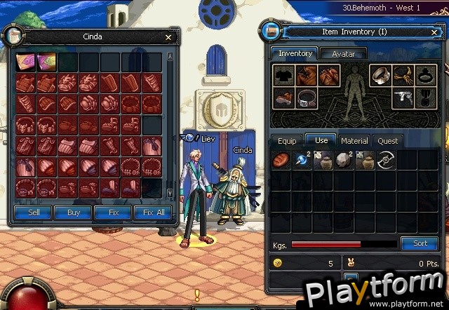 Dungeon Fighter Online (PC)