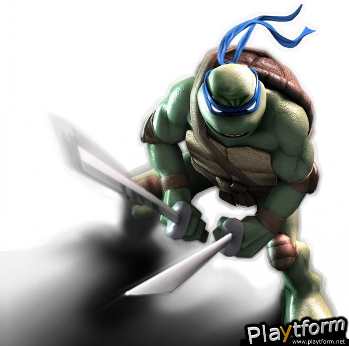 Teenage Mutant Ninja Turtles: Smash-Up (Wii)