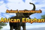 Animal Kingdom: Wildlife Expedition (Wii)