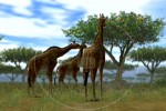 Animal Kingdom: Wildlife Expedition (Wii)