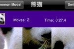 Puzzle Chinese (iPhone/iPod)