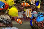 MyReef 3D Aquarium (iPhone/iPod)