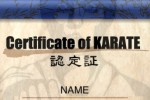 KARATE champion (iPhone/iPod)