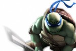 Teenage Mutant Ninja Turtles: Smash-Up (Wii)