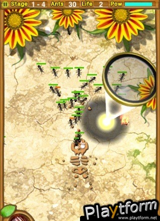 Ants Realm (iPhone/iPod)