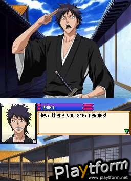 Bleach: The 3rd Phantom (DS)