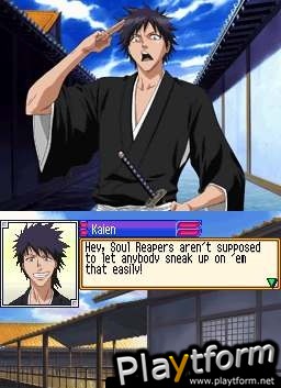 Bleach: The 3rd Phantom (DS)