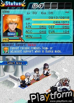 Bleach: The 3rd Phantom (DS)