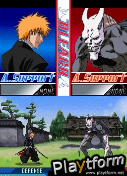 Bleach: The 3rd Phantom (DS)