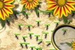 Ants Realm (iPhone/iPod)