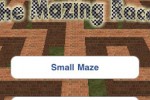 The Mazing Race (iPhone/iPod)