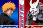 Bleach: The 3rd Phantom (DS)