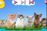 Kitty Chorus (iPhone/iPod)