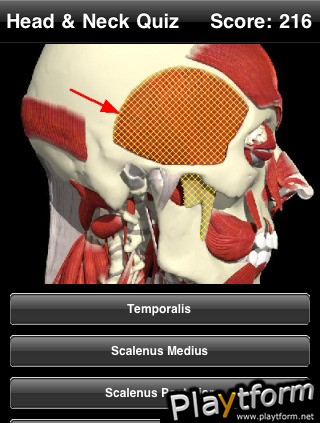 Head & Neck Quiz (iPhone/iPod)